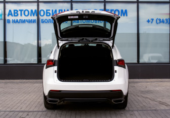Подержанный автомобиль Lexus NX 2019 года (20 фото)