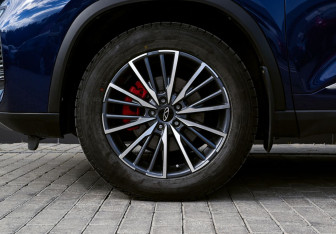 Подержанный автомобиль Chery Tiggo 8 Pro Max 2024 года (21 фото)