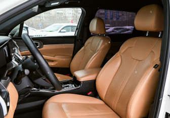 Подержанный автомобиль Kia Sorento 2020 года (14 фото)